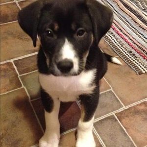 Meet your Posher, Tammy